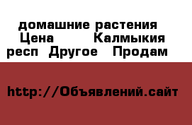 домашние растения › Цена ­ 50 - Калмыкия респ. Другое » Продам   